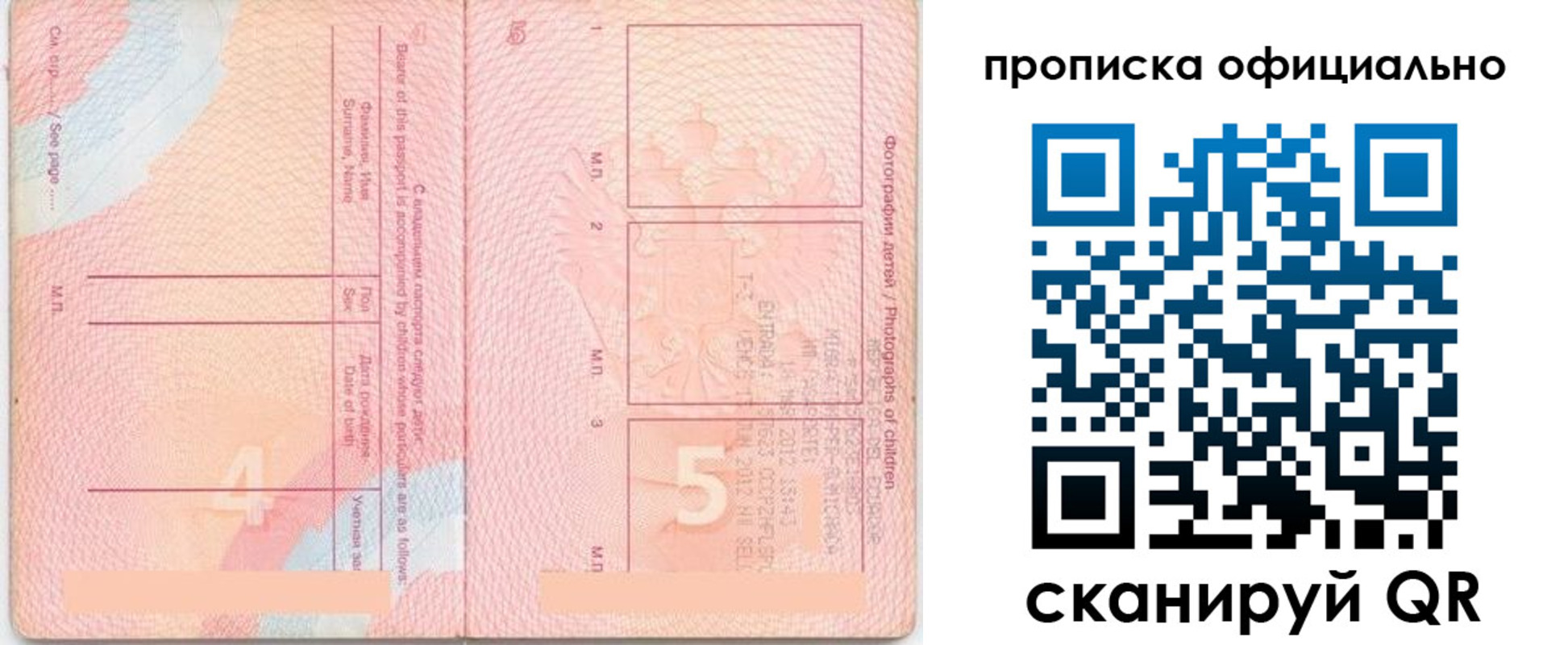 прописка для школы в Пушкино
